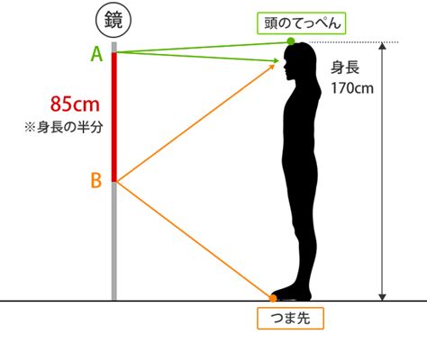 全身鏡位置|みんなが鏡を見るのはどんな時？鏡の置き場所事情